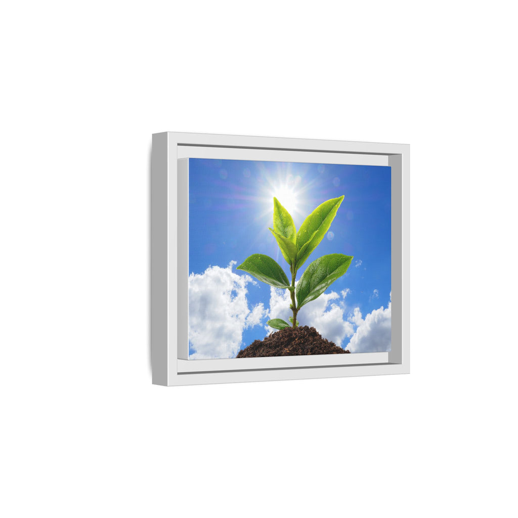 Framed sprouting plant canvas with green leaves and soil in a light gray frame