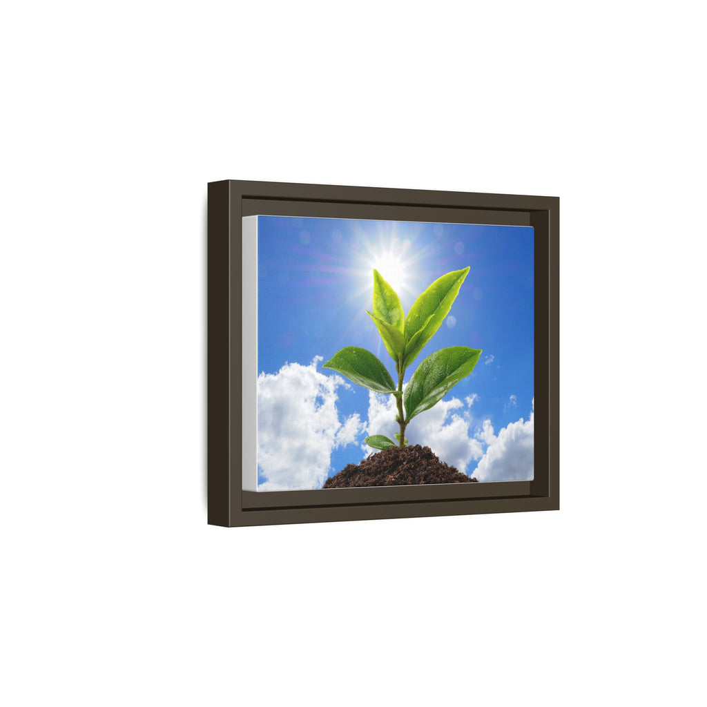 Framed sprouting plant canvas wall art with green leaves and soil in a dark espresso frame