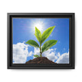 Framed sprouting plant wall art canvas with green leaves and brown soil, black frame