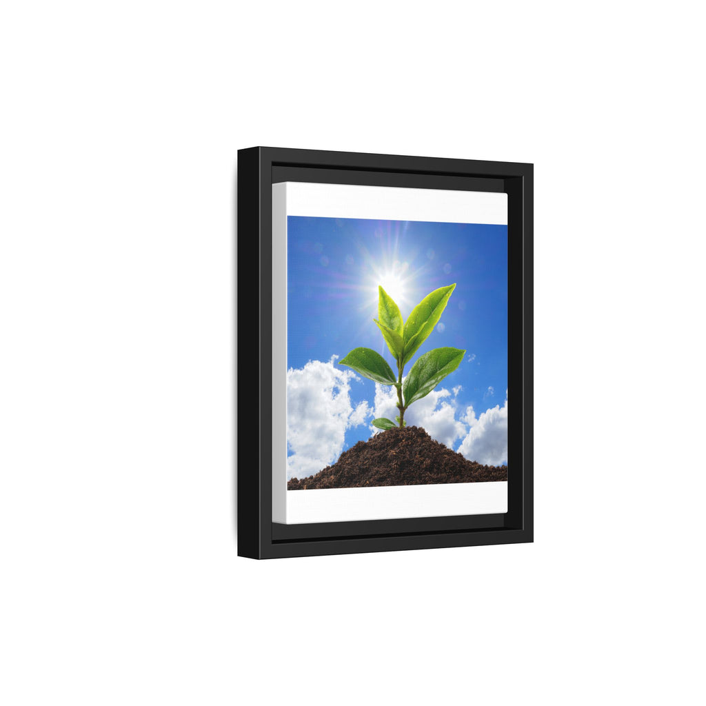 Framed sprouting plant wall art canvas with green leaves and brown soil, black frame