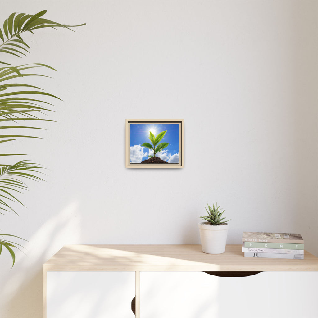 Small framed sprouting plant wall art on light wall, green leaves with tan frame